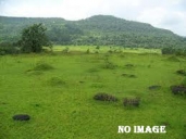 Residential Land